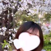 ヒメ日記 2025/04/17 11:17 投稿 みのり BUNNY（バニー）十三店