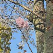 ヒメ日記 2026/04/03 17:18 投稿 かえで BUNNY（バニー）十三店