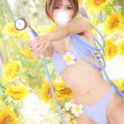 ヒメ日記 2025/07/26 08:06 投稿 しおん マリン宇都宮店