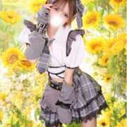 ヒメ日記 2025/07/28 07:26 投稿 しおん マリン宇都宮店