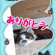 ヒメ日記 2025/05/17 19:00 投稿 ゆうき 性腺熟女100％（デリヘル市場）