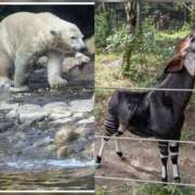 ヒメ日記 2025/10/02 17:00 投稿 ゆうき 性腺熟女100％（デリヘル市場）