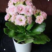 ヒメ日記 2025/03/28 14:16 投稿 もえ 激やみ！痴女伝説　五反田店