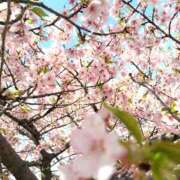 ヒメ日記 2025/03/27 21:13 投稿 いずみ 激やみ！痴女伝説　五反田店