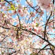 ヒメ日記 2026/03/26 12:15 投稿 いずみ 激やみ！痴女伝説　五反田店