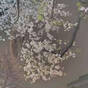 ヒメ日記 2026/03/28 11:28 投稿 いずみ 激やみ！痴女伝説　五反田店