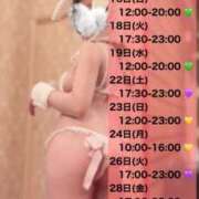 ヒメ日記 2025/02/12 22:35 投稿 かずは BUNNY（バニー）十三店