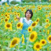 ヒメ日記 2025/05/15 15:36 投稿 かずは BUNNY（バニー）十三店