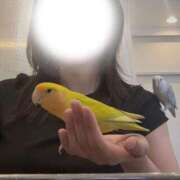 ヒメ日記 2026/08/20 10:34 投稿 かずは BUNNY（バニー）十三店