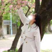 ヒメ日記 2025/03/01 12:47 投稿 りこ BUNNY（バニー）十三店