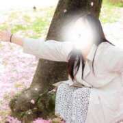 ヒメ日記 2025/03/26 13:05 投稿 りこ BUNNY（バニー）十三店