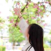 ヒメ日記 2025/04/09 15:35 投稿 りこ BUNNY（バニー）十三店