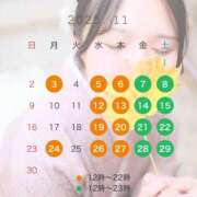 ヒメ日記 2025/10/27 17:11 投稿 りこ BUNNY（バニー）十三店