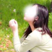 ヒメ日記 2026/04/21 13:00 投稿 りこ BUNNY（バニー）十三店