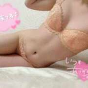 ヒメ日記 2025/02/15 07:15 投稿 ここ BUNNY（バニー）十三店