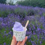 ヒメ日記 2025/08/08 15:15 投稿 ここ BUNNY（バニー）十三店