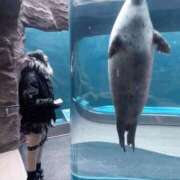 ヒメ日記 2026/02/18 23:49 投稿 かなめ デザインプリズム新宿