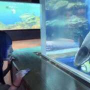 ヒメ日記 2026/08/10 22:42 投稿 かなめ デザインプリズム新宿