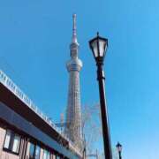 ヒメ日記 2025/06/29 15:02 投稿 なる 上野添い寝女子