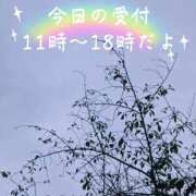 ヒメ日記 2024/11/05 10:53 投稿 あいり 激やみ！イラマ痴女伝説　五反田店