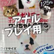 ヒメ日記 2024/11/06 11:22 投稿 あいり 激やみ！イラマ痴女伝説　五反田店