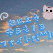 ヒメ日記 2024/11/26 07:15 投稿 あいり 激やみ！イラマ痴女伝説　五反田店