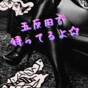 ヒメ日記 2024/12/11 11:45 投稿 あいり 激やみ！痴女伝説　五反田店