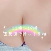 ヒメ日記 2025/02/17 10:59 投稿 あいり 激やみ！痴女伝説　五反田店