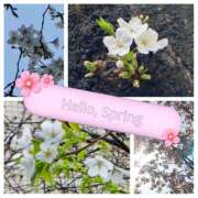 ヒメ日記 2025/03/27 11:00 投稿 あいり 激やみ！痴女伝説　五反田店