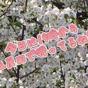 ヒメ日記 2025/03/30 18:15 投稿 あいり 激やみ！痴女伝説　五反田店