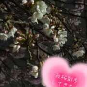 ヒメ日記 2025/04/06 20:48 投稿 あいり 激やみ！痴女伝説　五反田店