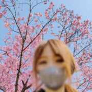 ヒメ日記 2026/03/24 14:18 投稿 きょうか 成田人妻花壇