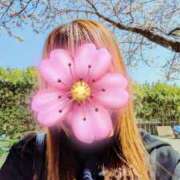 ヒメ日記 2026/03/25 10:15 投稿 きょうか 成田人妻花壇