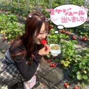 ヒメ日記 2025/05/03 19:24 投稿 井上 てれさ マーベリック横浜