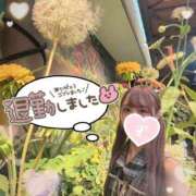 ヒメ日記 2025/07/01 01:14 投稿 井上 てれさ マーベリック横浜