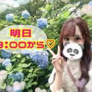 井上 てれさ 🐼ྀི明日18:00から🫶🏻💖 マーベリック横浜