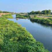 ヒメ日記 2026/07/20 07:18 投稿 花野 笑 五十路マダム富山店(カサブランカグループ)