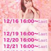 ヒメ日記 2024/12/15 19:28 投稿 瑛紗（てれさ） 今日、私はあなたの部下（マーベリックグループ）