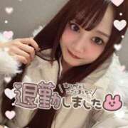 ヒメ日記 2025/02/19 05:18 投稿 瑛紗（てれさ） 今日、私はあなたの部下（マーベリックグループ）