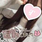 ヒメ日記 2025/03/01 05:18 投稿 瑛紗（てれさ） 今日、私はあなたの部下（マーベリックグループ）