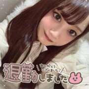 ヒメ日記 2025/03/24 05:08 投稿 瑛紗（てれさ） 今日、私はあなたの部下（マーベリックグループ）