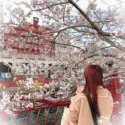 ヒメ日記 2025/04/06 21:18 投稿 瑛紗（てれさ） 今日、私はあなたの部下（マーベリックグループ）