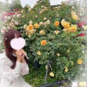 ヒメ日記 2025/05/13 00:08 投稿 瑛紗（てれさ） 今日、私はあなたの部下（マーベリックグループ）