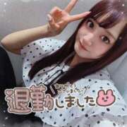 ヒメ日記 2025/05/14 05:18 投稿 瑛紗（てれさ） 今日、私はあなたの部下（マーベリックグループ）