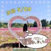 ヒメ日記 2025/05/27 05:18 投稿 瑛紗（てれさ） 今日、私はあなたの部下（マーベリックグループ）