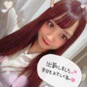 ヒメ日記 2025/06/05 16:28 投稿 瑛紗（てれさ） 今日、私はあなたの部下（マーベリックグループ）