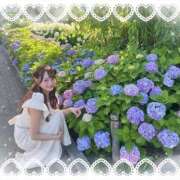 ヒメ日記 2025/06/18 16:48 投稿 瑛紗（てれさ） 今日、私はあなたの部下（マーベリックグループ）