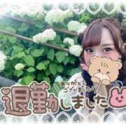 ヒメ日記 2025/07/27 05:08 投稿 瑛紗（てれさ） 今日、私はあなたの部下（マーベリックグループ）