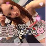 ヒメ日記 2025/09/08 05:08 投稿 瑛紗（てれさ） 今日、私はあなたの部下（マーベリックグループ）