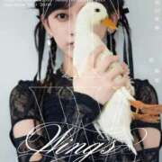 ヒメ日記 2025/11/29 12:08 投稿 瑛紗（てれさ） 今日、私はあなたの部下（マーベリックグループ）